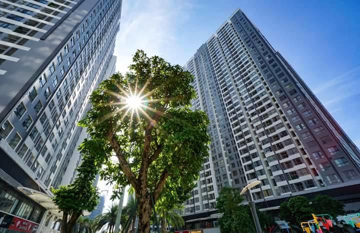 Luna'S Splendid Home Hà Nội Ngoại thất bức ảnh
