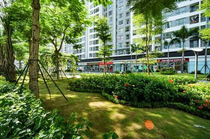 Luna'S Splendid Home Hà Nội Ngoại thất bức ảnh