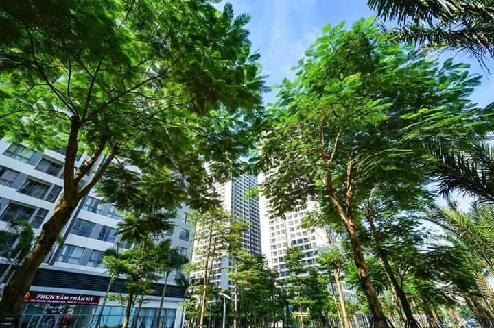 Luna'S Splendid Home Hà Nội Ngoại thất bức ảnh